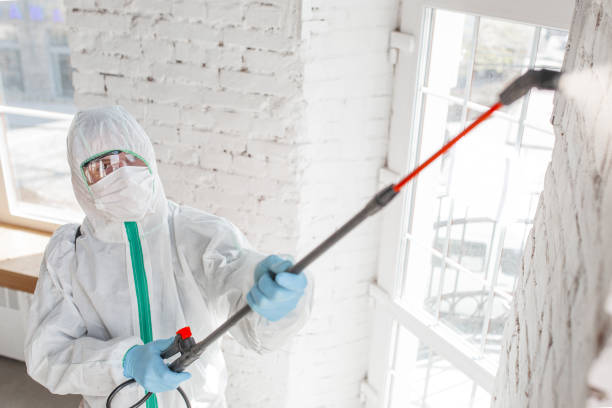 Best Attic Mold Removal  in Sawyerwood, OH