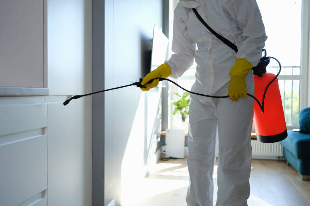 Best Crawl Space Mold Remediation  in Sawyerwood, OH