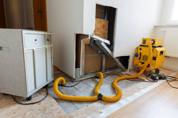 Best Industrial Mold Remediation  in Sawyerwood, OH