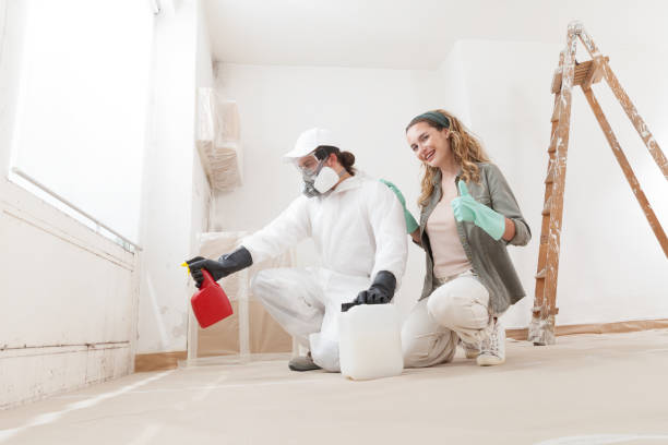 Best Attic Mold Removal  in Sawyerwood, OH