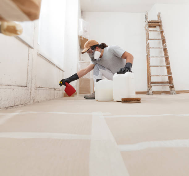 Sawyerwood, OH Mold Removal Company