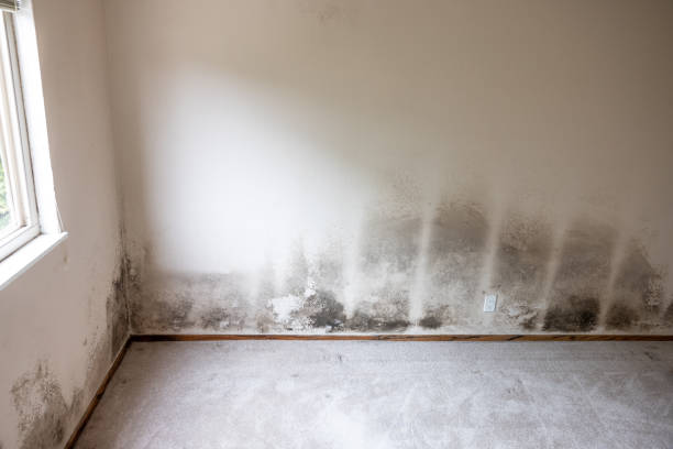 Best Post-Remediation Verification Testing  in Sawyerwood, OH